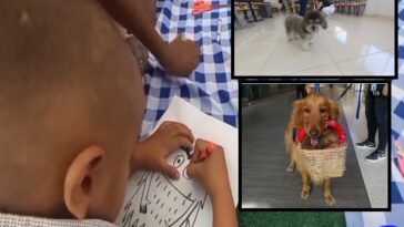 “Terapia con peludos para sanar”: amor puro recibe a niños y adultos con perros de asistencia en Cali