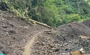 Tragedia en Yacopí: papá e hijo fallecieron por la caída de un árbol 