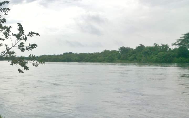 Un fallecido y tres desaparecidos en el río Ariporo
