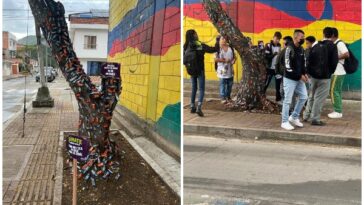 Unos entendieron y otros "se llevaron a más de uno": Árboles que amanecieron llenos de dulces en Yumbo