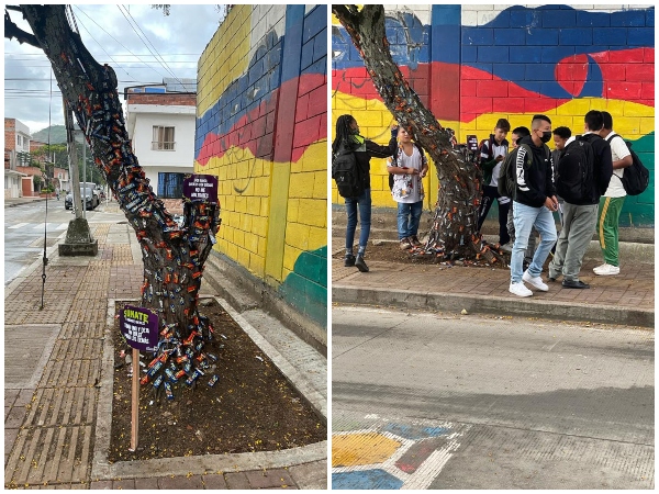 Unos entendieron y otros "se llevaron a más de uno": Árboles que amanecieron llenos de dulces en Yumbo