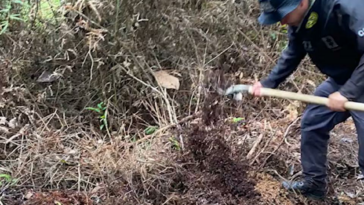 Video: hasta en cavernas buscan al menor Maximiliano en Antioquia