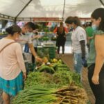 Vuelve la Mercatón Campesina a Pereira: este jueves estará en la Plaza de Bolívar