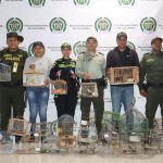 23 animales silvestres en Montería fueron rescatados del cautiverio