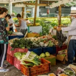 Mercados Campesinos