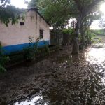 Agricultura y ganadería de Guaimaro están  afectadas por las lluvias