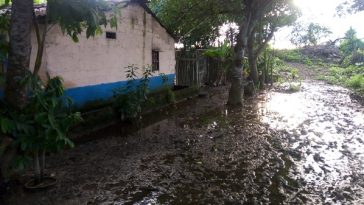 Agricultura y ganadería de Guaimaro están  afectadas por las lluvias