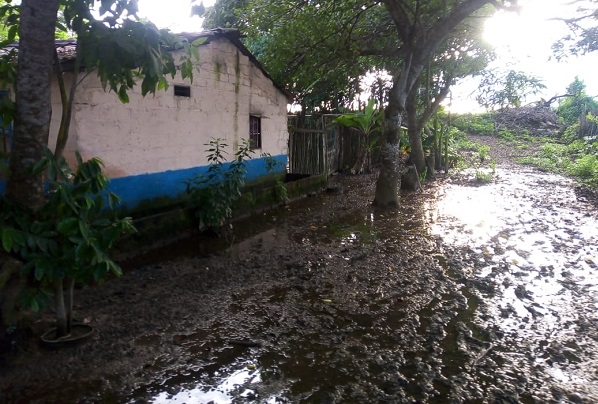 Agricultura y ganadería de Guaimaro están  afectadas por las lluvias