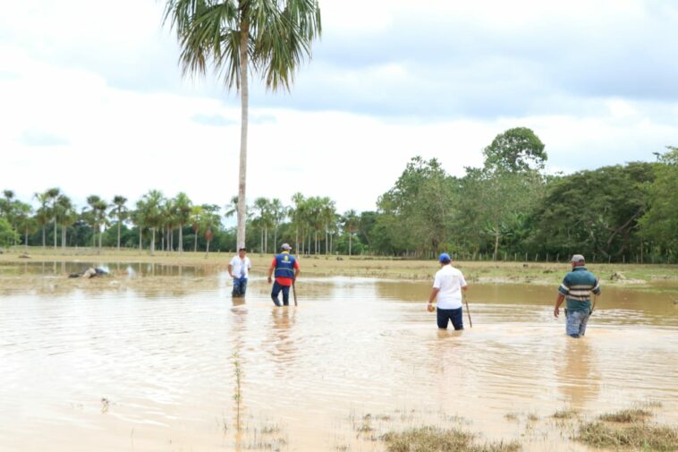 Alcaldía intervendrá con maquinaria amarilla inundación en Guasimal
