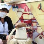 Noticias del Huila: Artesanos fortalecen cultivos de pindo, fique e iraca