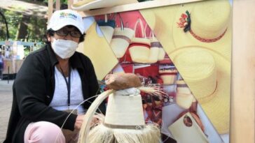 Noticias del Huila: Artesanos fortalecen cultivos de pindo, fique e iraca