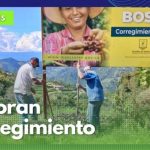 Buscan embellecer las entradas de los corregimientos de Manizales