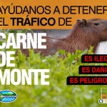 Corpamag hace un llamado para evitar el consumo de carne de monte