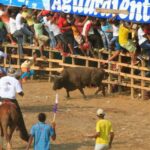 De nuevo se hundió el proyecto que buscaba prohibir corridas de toros en Colombia