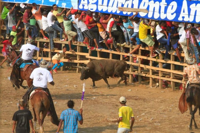 De nuevo se hundió el proyecto que buscaba prohibir corridas de toros en Colombia