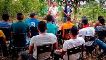 Disidencias de las Farc liberaron a 18 jóvenes en Tumaco