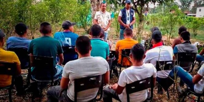 Disidencias de las Farc liberaron a 18 jóvenes en Tumaco