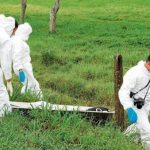 En Clarinetero, zona rural del municipio de Arauca