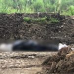 Dos cuerpos fueron encontrados en bolsas en el malecón del Río Cauca