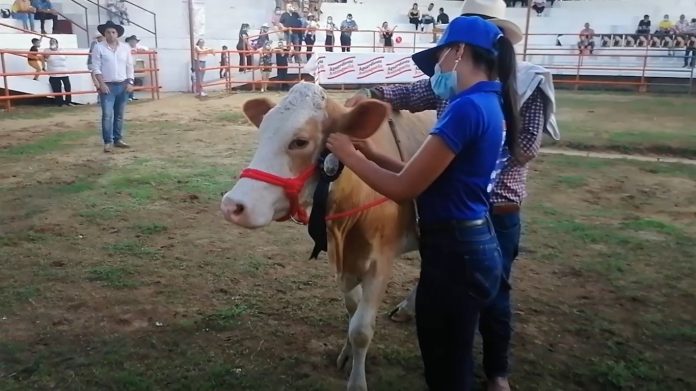 El apoyo de la Alcaldía de Arauca a la Feria Agropecuaria. Alcalde, invita a la comunidad a visitarla del 24 al 27 de noviembre.