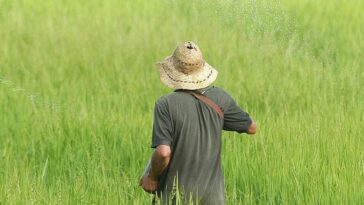 El reto de sacar adelante la reforma agraria con 9,4 % de predios actualizados