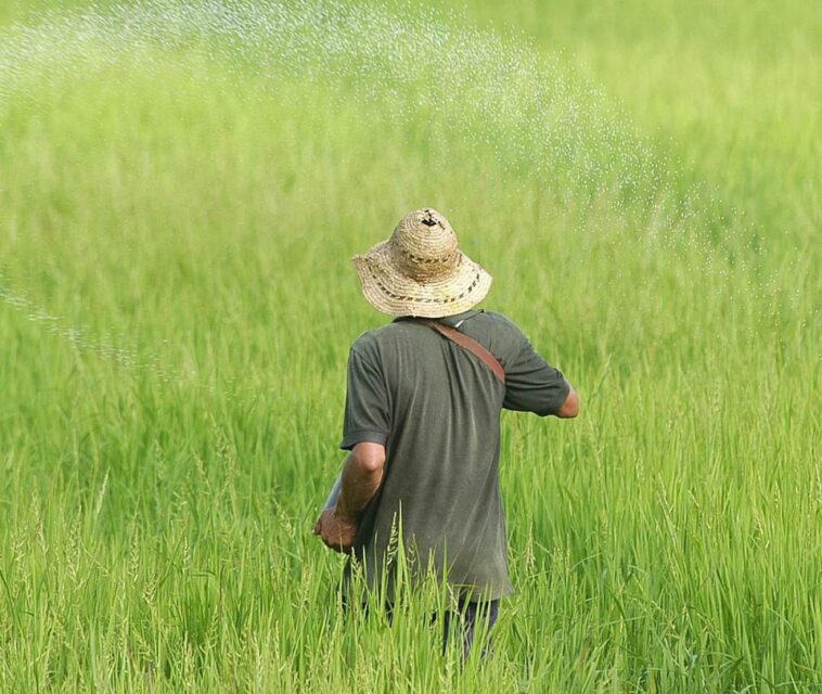 El reto de sacar adelante la reforma agraria con 9,4 % de predios actualizados