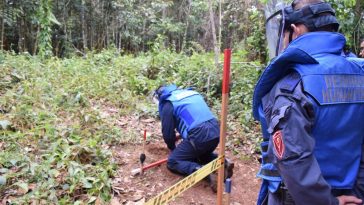 En cinco municipios del Caquetá, desminadores lograron despejar 260000 metros cuadrados