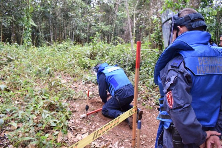 En cinco municipios del Caquetá, desminadores lograron despejar 260000 metros cuadrados