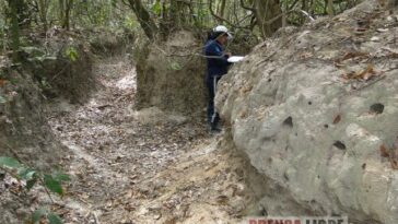 En riesgo de desaparecer ecosistemas Zurales en Arauca