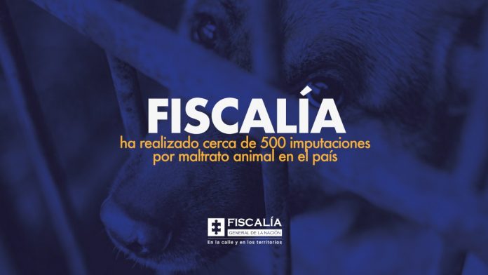 Fiscalía ha realizado cerca de 500 imputaciones por maltrato animal en el país