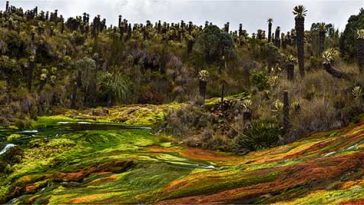 Fotografía del Guainía resultó ganadora en concurso fotográfico del Ministerio de Comercio