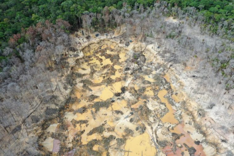 [Fotos y video] Fuerzas Militares desmantelaron una mina ilegal que depredaba las selvas de Guainía