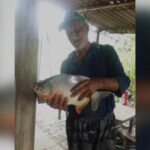Hombre pescó una Cachama de 10 kilos en el  Sinú