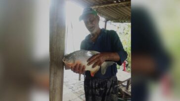 Hombre pescó una Cachama de 10 kilos en el  Sinú