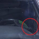 Intolerancia al volante: taxista atacó con un bate el carro de una mujer en Bosa