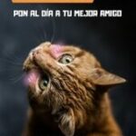 Jornada de vacunación en Cúcuta, contra el Covid 19 y las mascotas