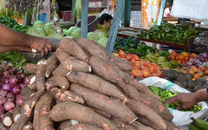 La yuca está en abundancia en el mercado de Maicao.