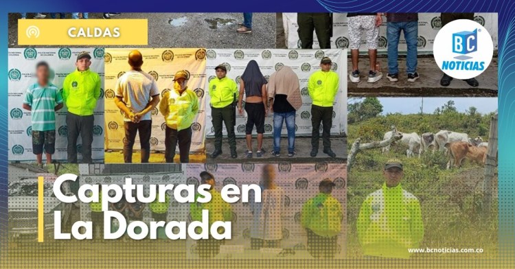 Nueve personas fueron capturadas por diferentes delitos en La Dorada