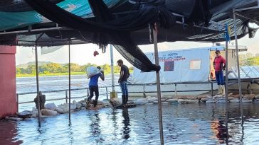 Reubicación de viviendas ubicadas en la ribera del río: posible solución a inundaciones en El Banco