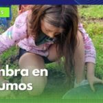 Sembraron 300 plántulas en el Ecoparque de Los Yarumos