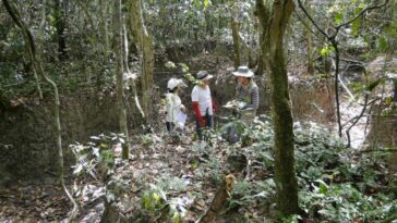 Zurales, valiosos ecosistemas en riesgo de desaparecer en Arauca