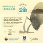 ‘Hormigas en la Perla del Caribe’: exposición de arte en Unimagdalena