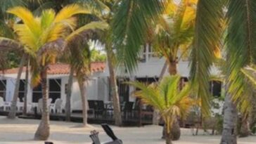 Asesinan a empresaria en atraco en balneario Puerto Viejo, en Tolú