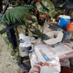 Ejército Nacional destruye 10 laboratorios de cocaína en el norte del departamento del Chocó.