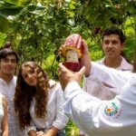 El cacao del Quindío, un referente de la industria gastronómica y turística en Colombia