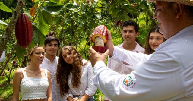 El cacao del Quindío, un referente de la industria gastronómica y turística en Colombia