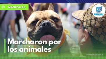 En Manizales marcharon en defensa de los animales