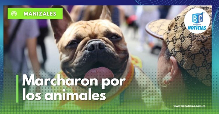 En Manizales marcharon en defensa de los animales