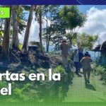 En las cárceles de Manizales apoyan proceso de resocialización con la construcción de huertas urbanas