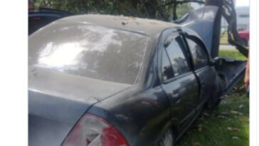 Carro se choco de frente con un arbol